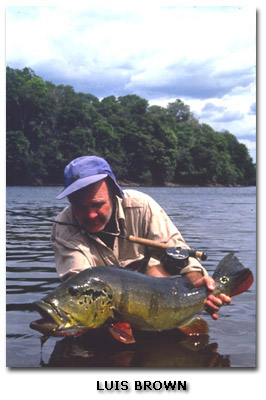 Peacock Bass Fishing - Luis Brown