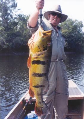 Peacock Bass Fishing - Fisherman