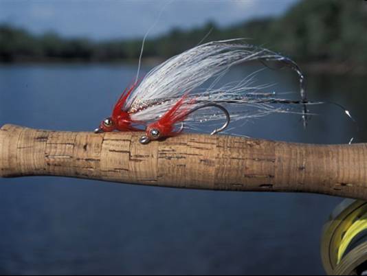 Peacock Bass Fishing - Fly fishing